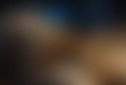 Фотография ролевого квеста Тень фараона от компании Questoria (Фото 1)