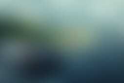 Фотография ролевого квеста Герои асфальта от компании Questoria (Фото 1)