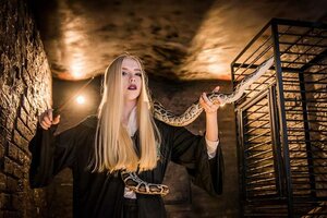 Фотография квеста Гарри и последний крестраж от компании iLocked (Фото 1)