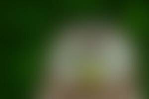 Фотография ролевого квеста Кабаре "Черный кот" от компании Questime (Фото 1)