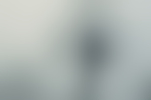 Фотография квеста Лес твоих кошмаров  от компании Fear (Фото 1)