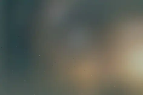 Квест-анимация «По следам динозавров» от Teen Team