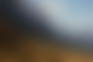 Фотография квиза Delete14289 от компании Delete (Фото 1)