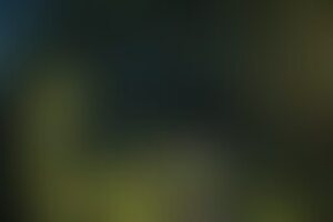 Фотография онлайн-квеста Джуманджи от компании EnigmaRoom (Фото 1)