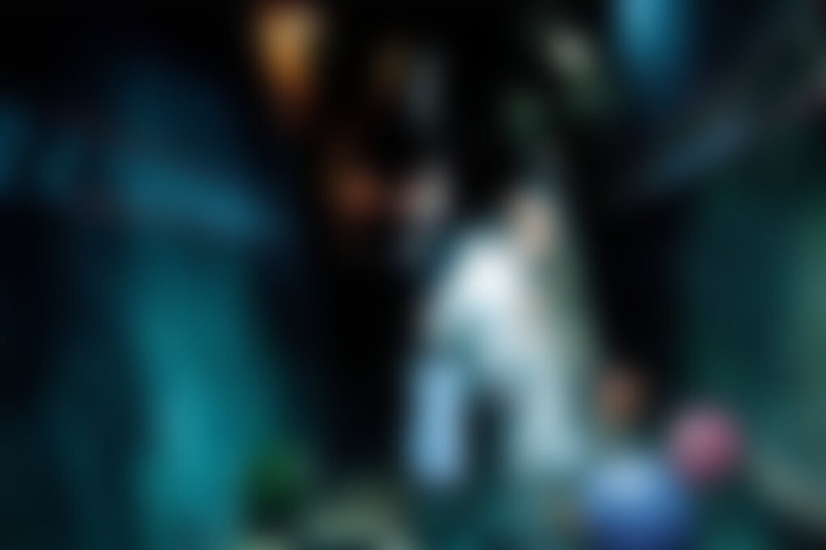 Фотография перформанса Five Nights at Freddy's от компании Quest Stars (Фото 1)