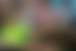 Фотография квеста Angry Birds от компании Суперостров (Фото 1)