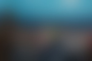 Фотография квеста Angry Birds от компании Суперостров (Фото 2)