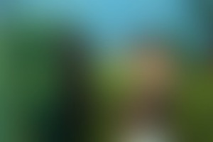 Фотография квеста Angry Birds от компании Суперостров (Фото 4)