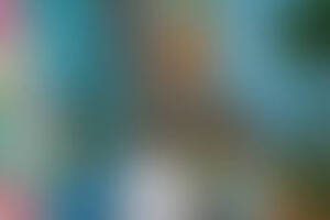 Фотография квеста Angry Birds от компании Суперостров (Фото 5)