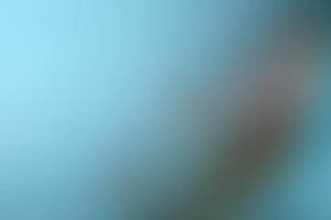 Фотография квеста Мадагаскар от компании Суперостров (Фото 4)