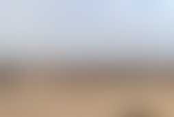 Фотография ролевого квеста Шестой день от компании Questwood (Фото 1)