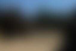 Фотография ролевого квеста Дикий Запад от компании Коробка (Фото 1)